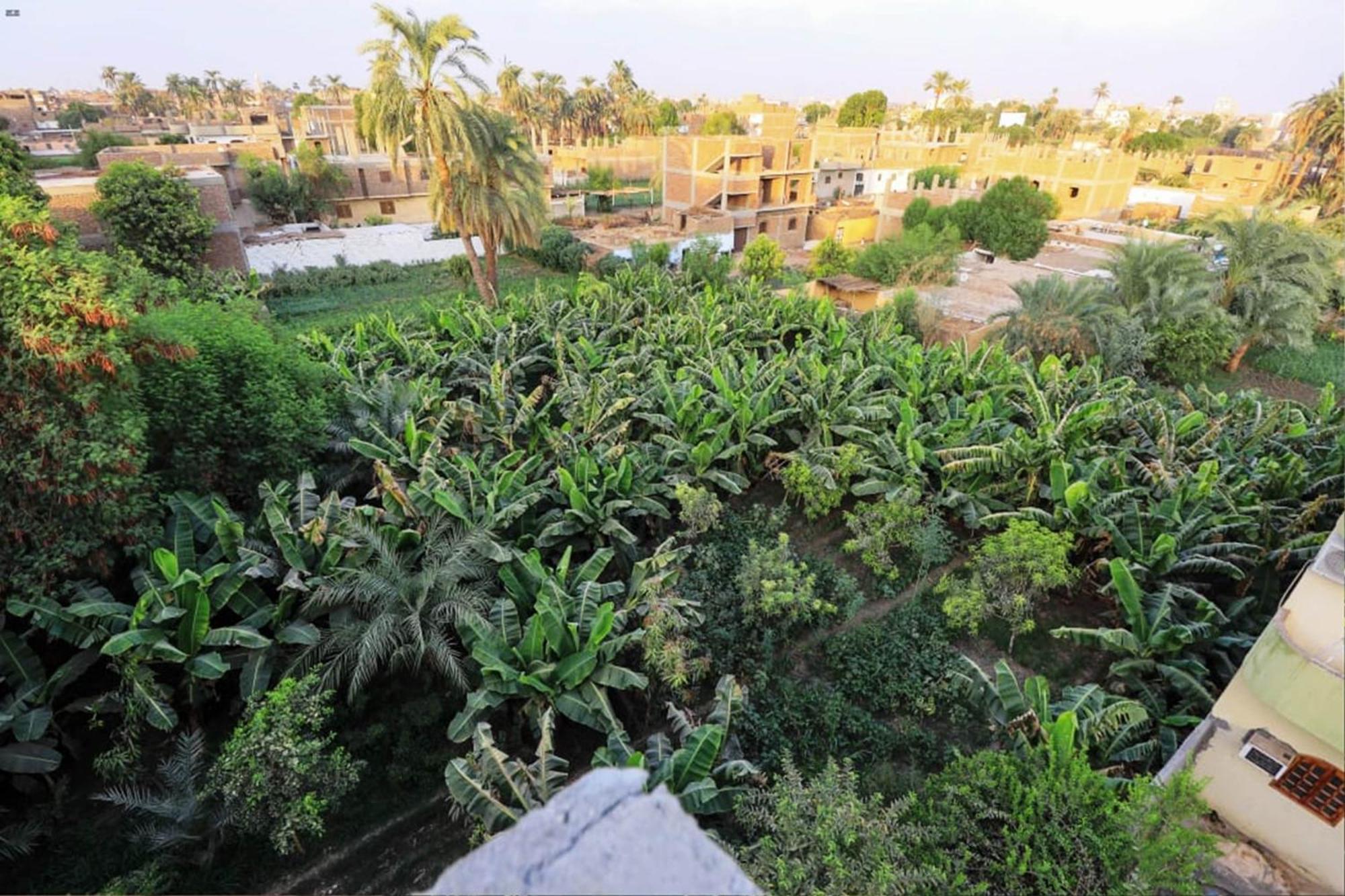 Luxor View Hostel Extérieur photo